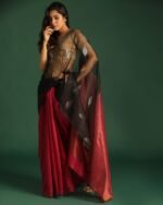 Half & Half Saree with Tissue Pallu - Image 2